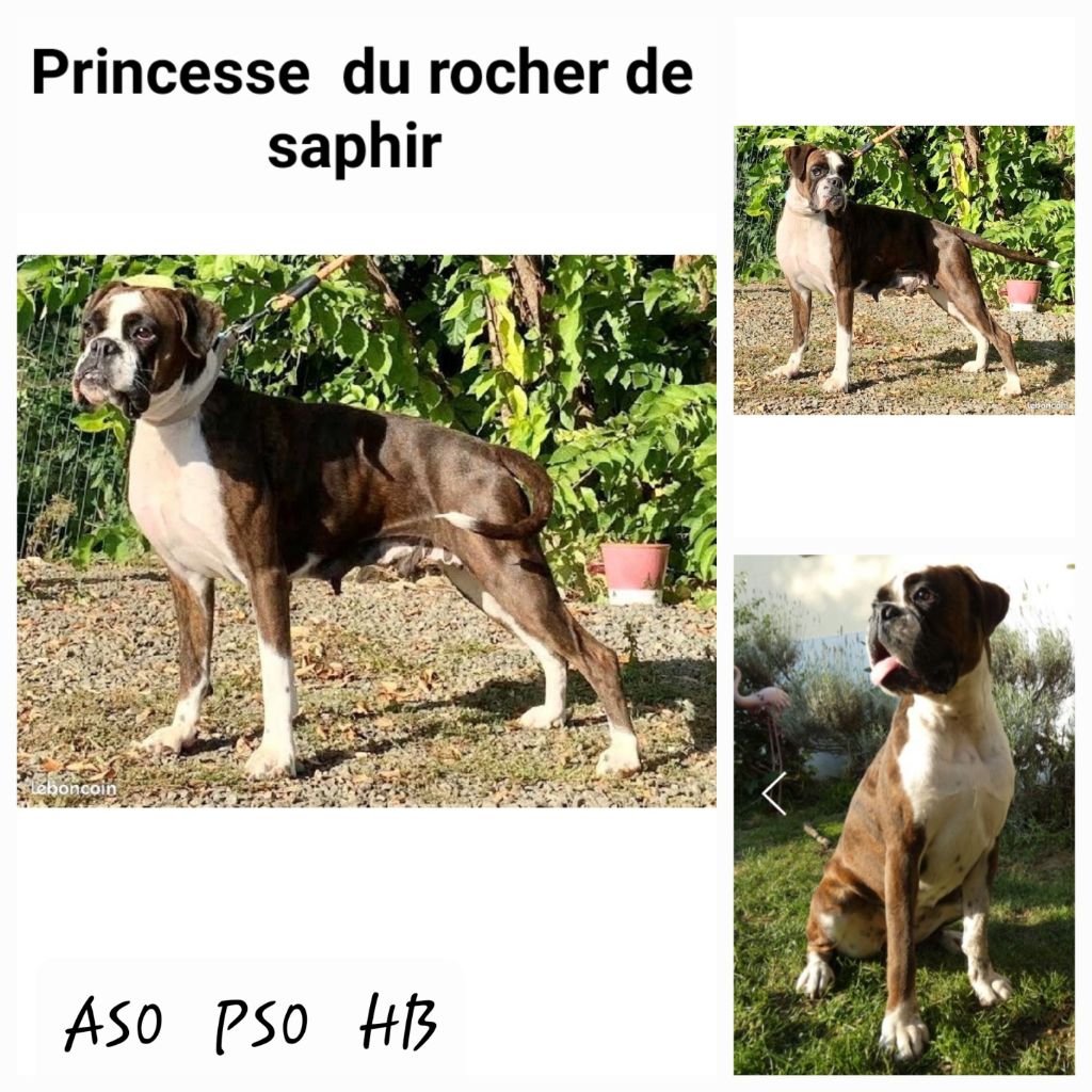 Princesse du rocher de saphir